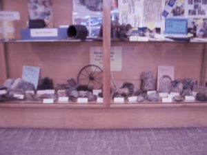 variety of interesting rocks and other items found by society members